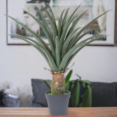 Planta Artificiala in ghiveci Aloe 70 cm