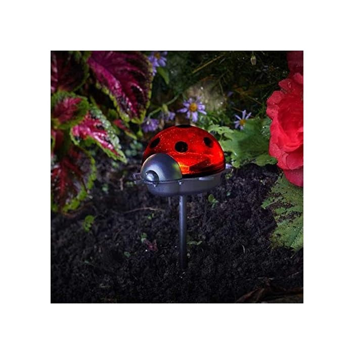 Lampa solara, LED, Buburuza / Ciuperca / Albina