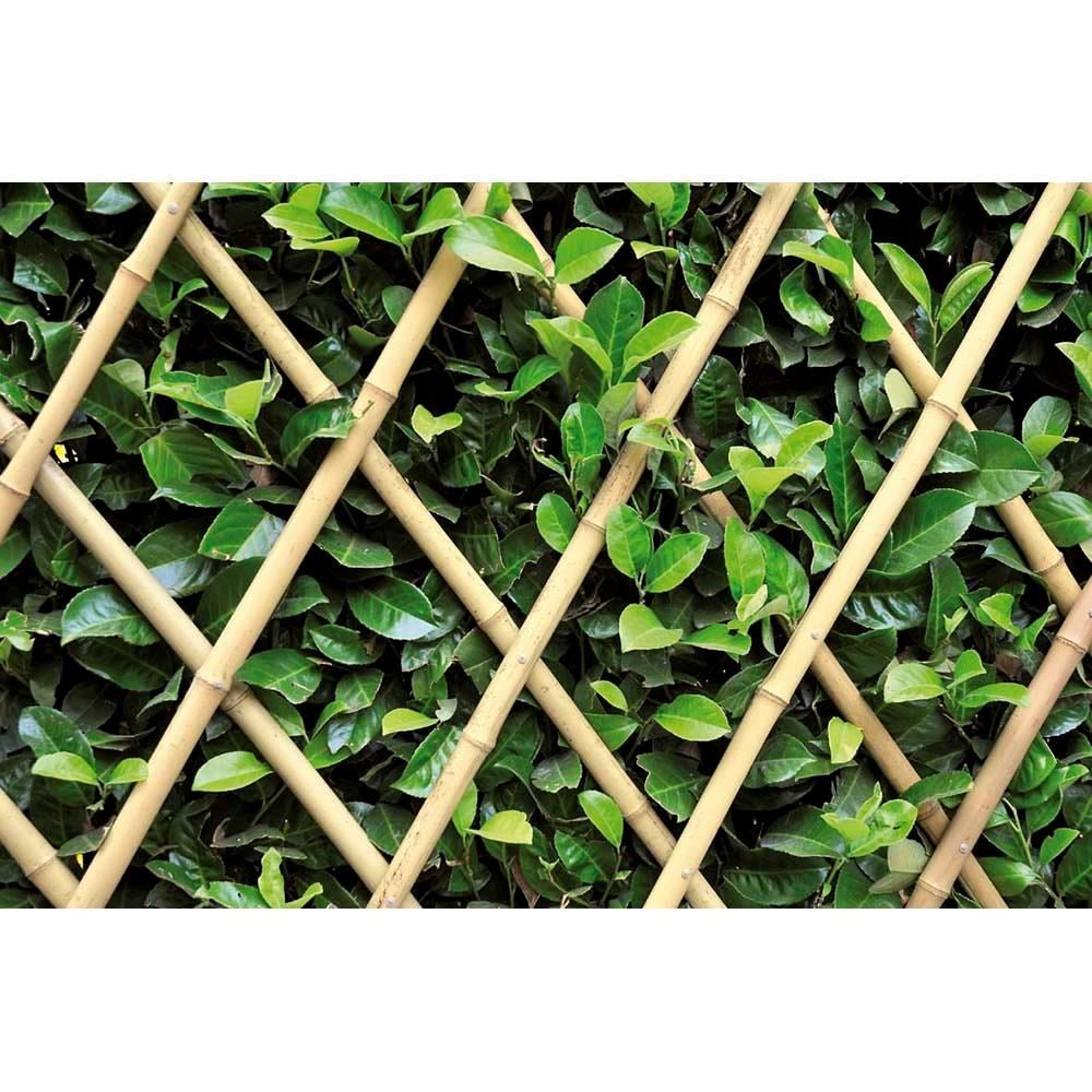 Gard Extensibil din Bambus, 180x70 cm