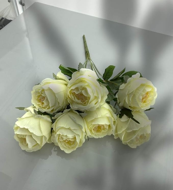 Buchet 9 Trandafiri Albi