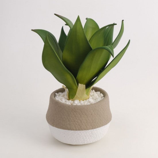 Planta artificiala decorativa, Aloe Vera in ghiveci Ceramic, 31x13 cm