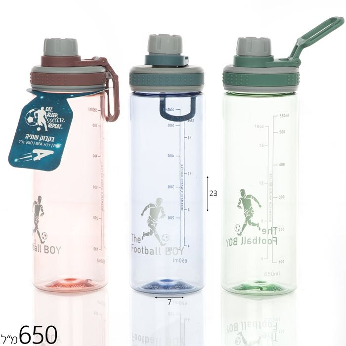 Sticla apa sport , Gri / transparent , 650 ml