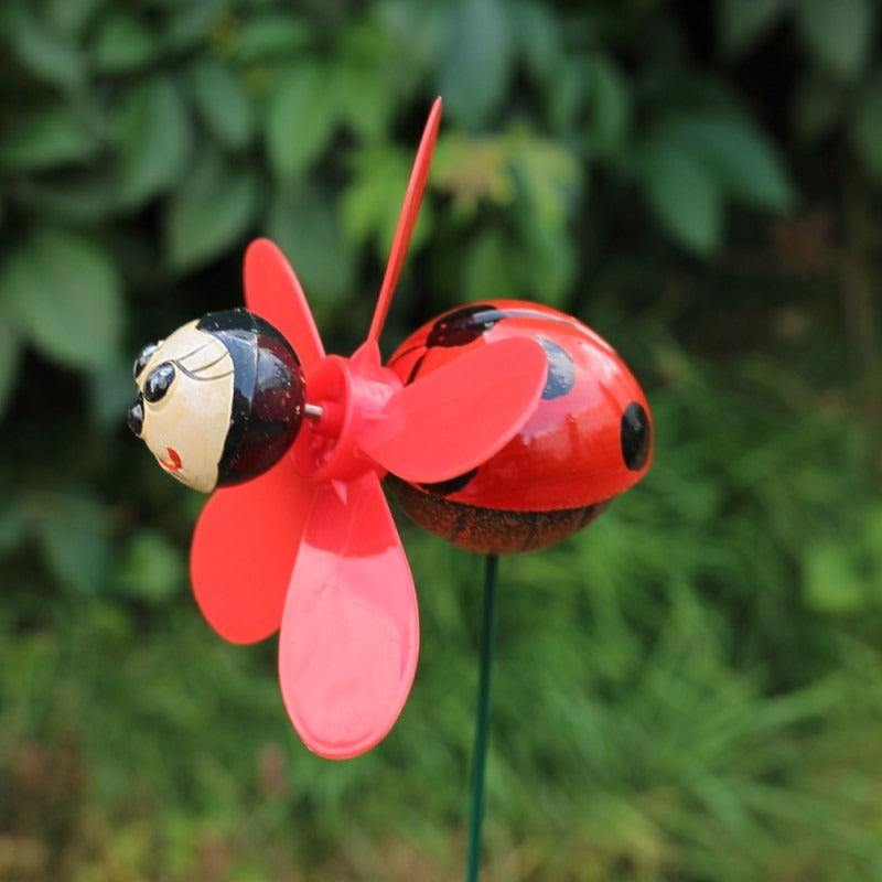 Morisca Mica , 11x12 cm