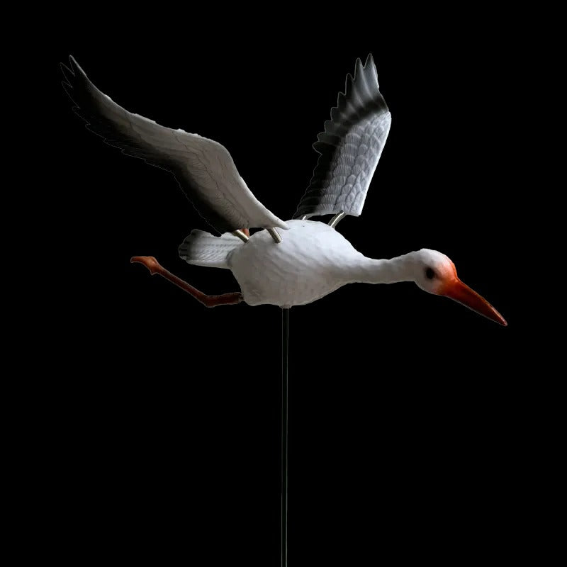 Morisca Mica , 11x12 cm