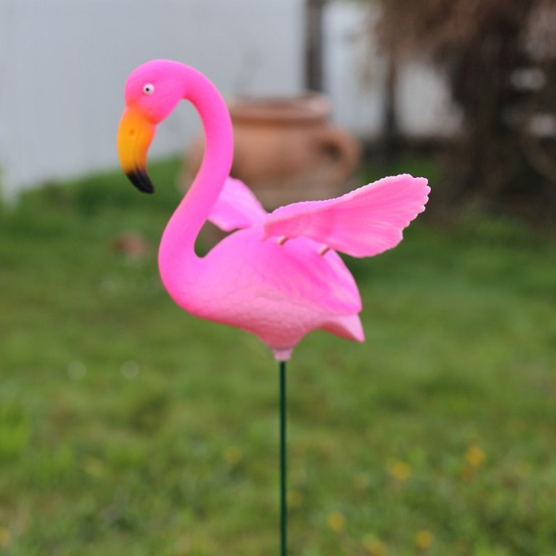 Morisca Mica , 11x12 cm