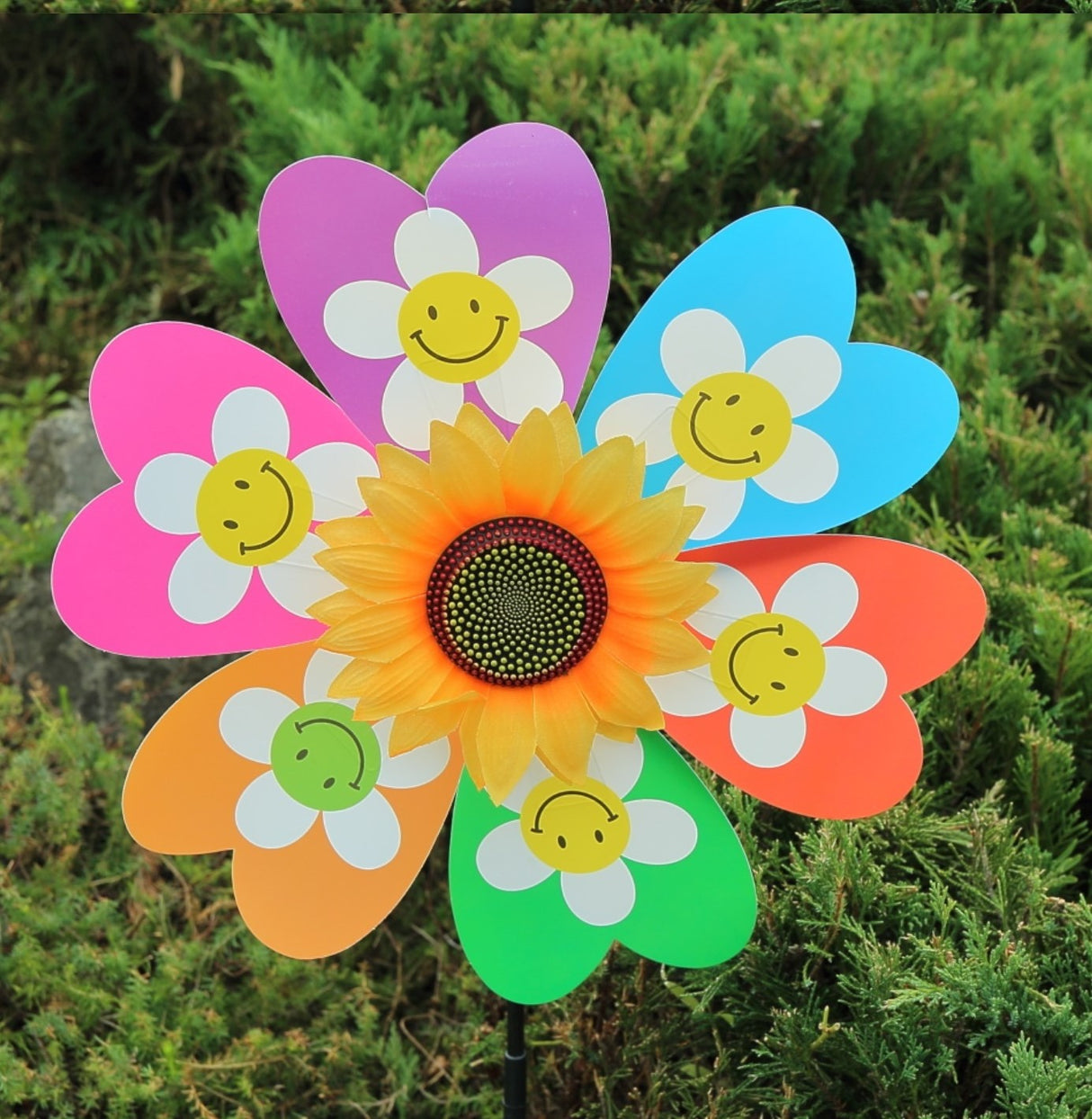 Morisca De Vant, Floare Multicolora , diametru 35 Cm
