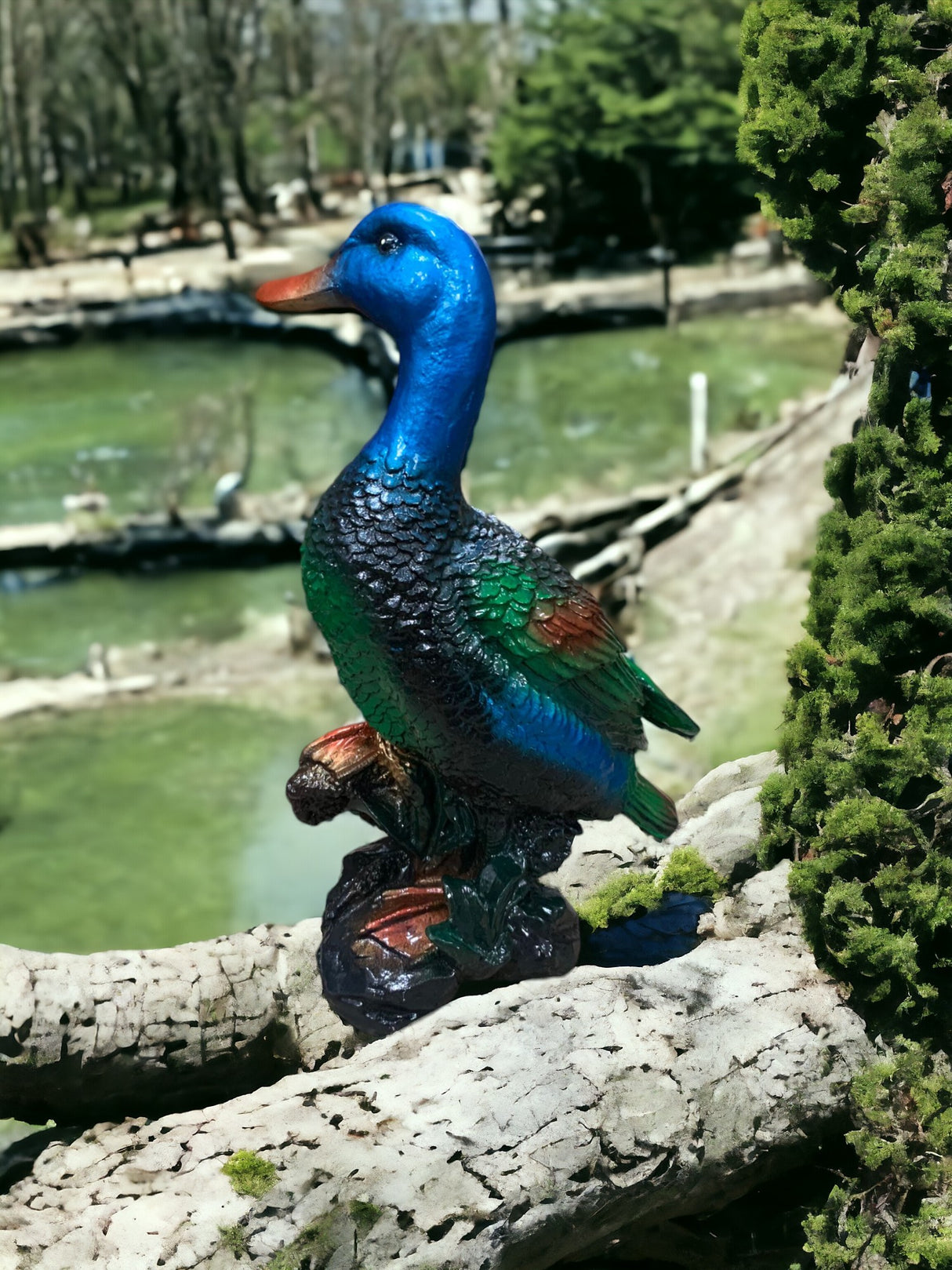 Decoratiune gradina ceramica Rata - 34 cm