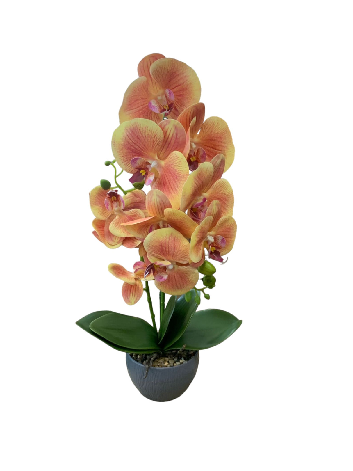 Orhidee Artificiala 2 Tije in Ghiveci Rotund , 51x13cm