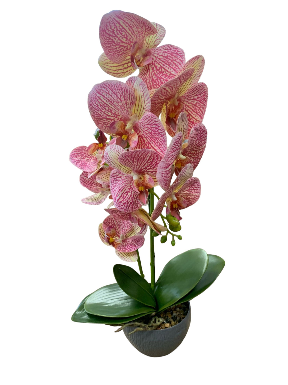 Orhidee Artificiala 2 Tije in Ghiveci Rotund , 51x13cm