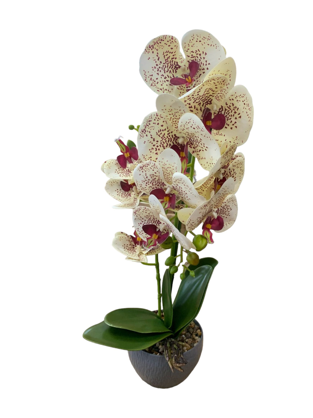 Orhidee Artificiala 2 Tije in Ghiveci Rotund , 51x13cm