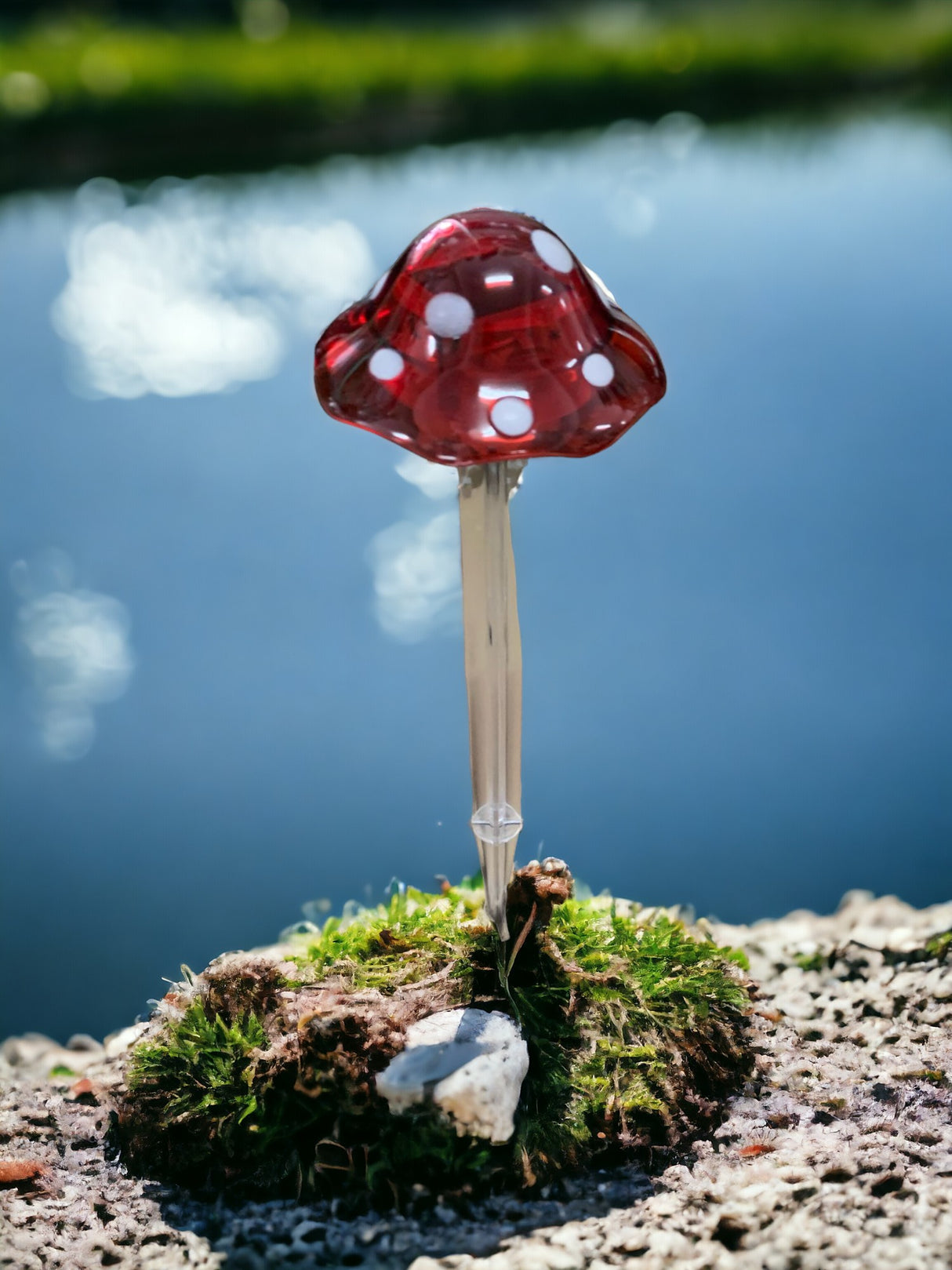 Lampa solara, LED, Buburuza / Ciuperca / Albina