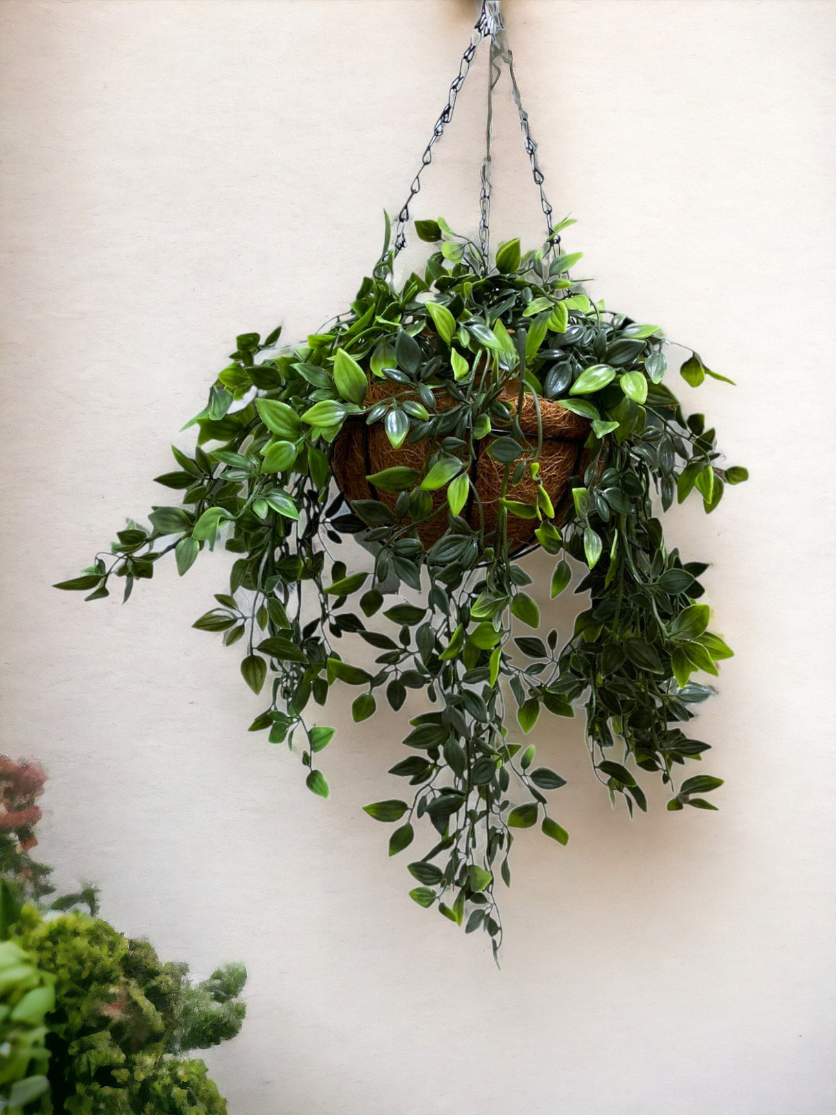 Aranjament Ghiveci Suspendat cu lant din Fibra Cocos 20 cm