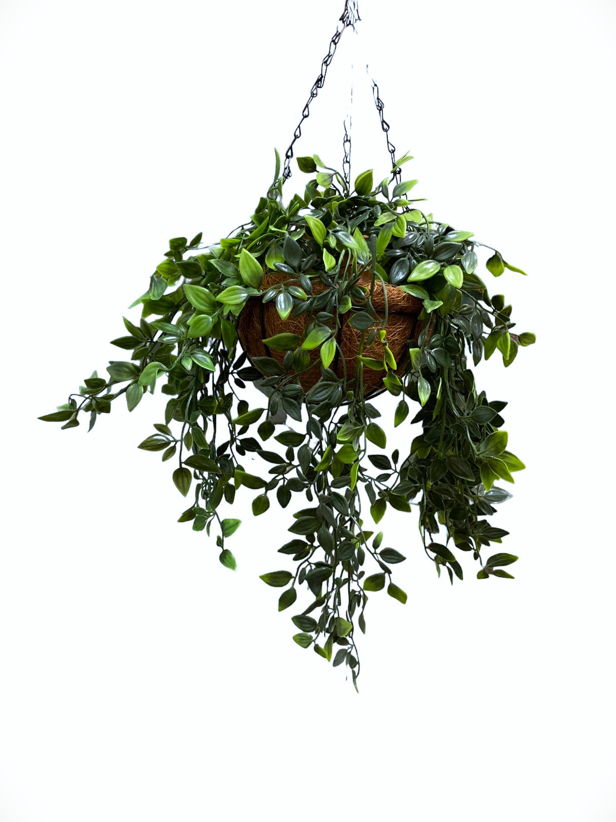 Aranjament Ghiveci Suspendat cu lant din Fibra Cocos 20 cm