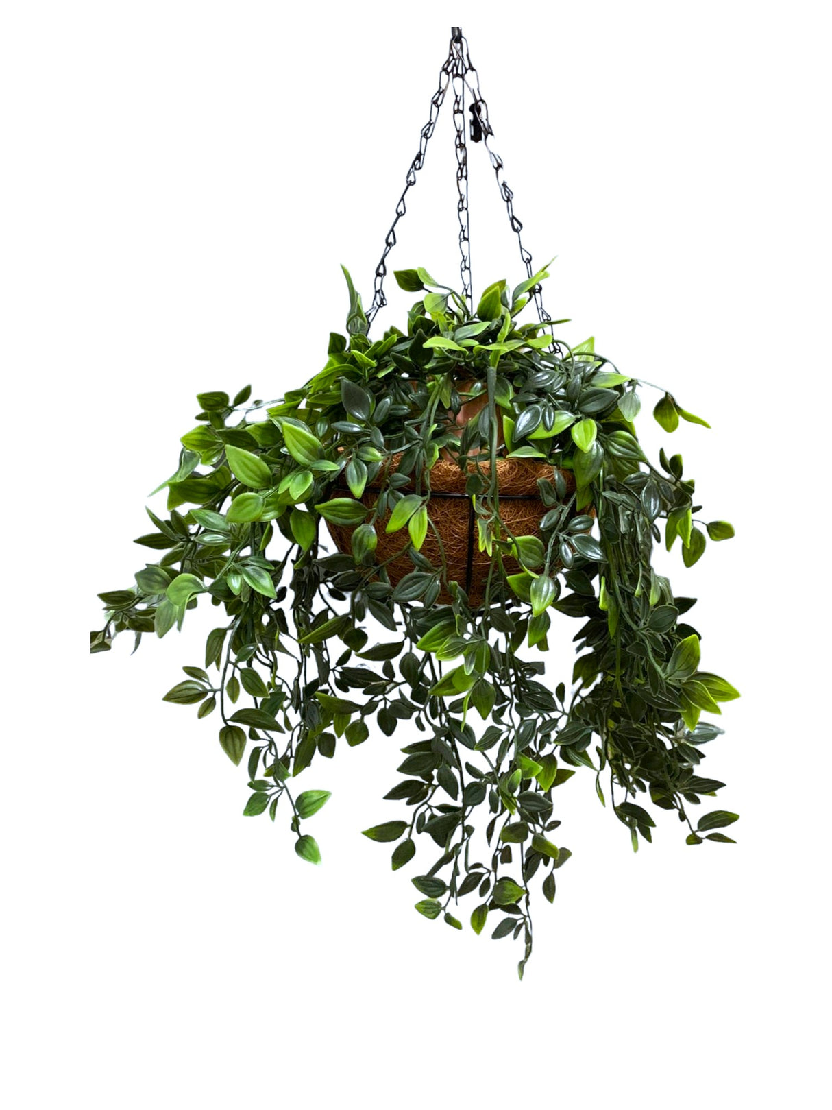 Aranjament Ghiveci Suspendat cu lant din Fibra Cocos 20 cm