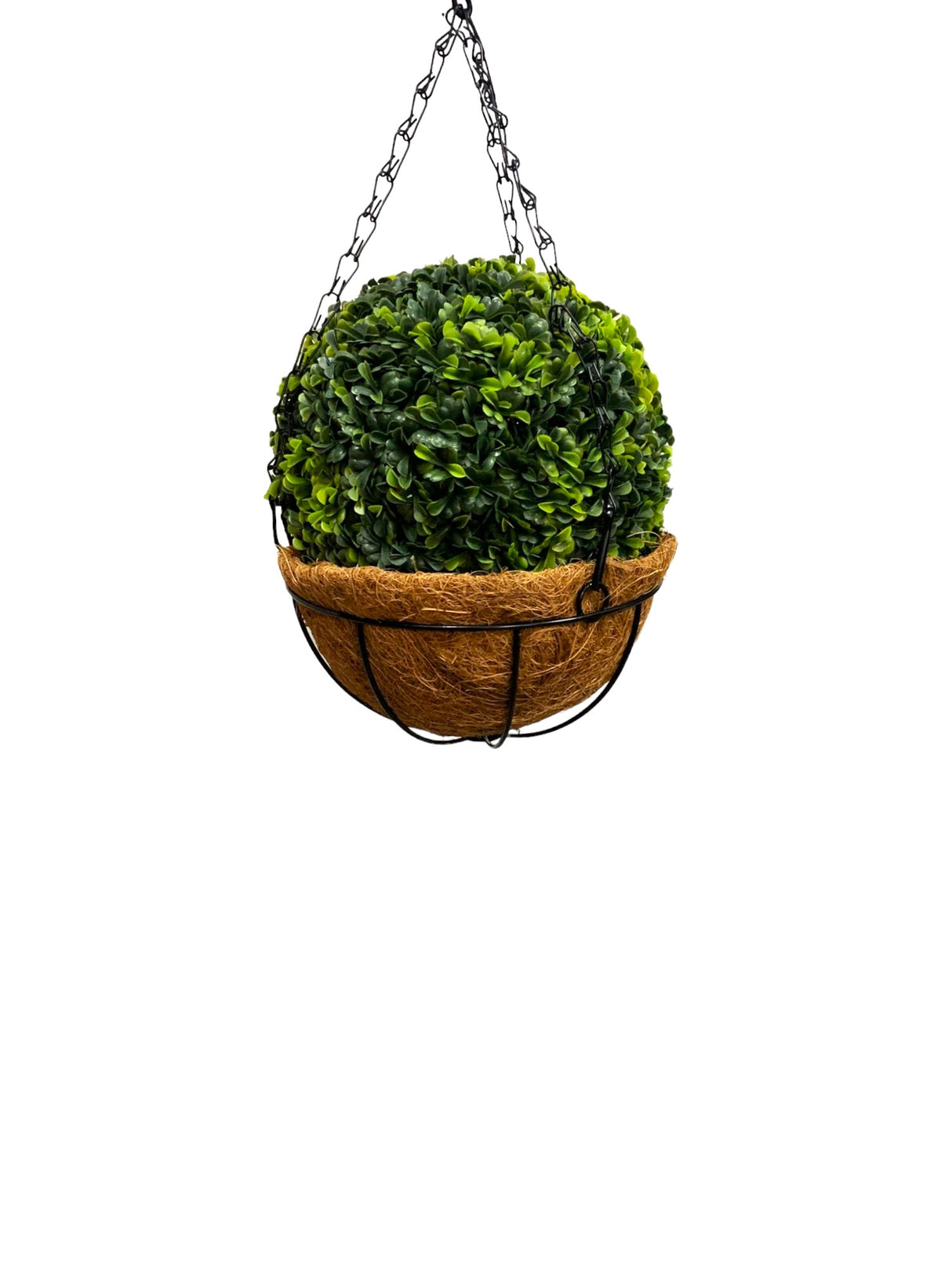 Aranjament Ghiveci Suspendat cu lant din Fibra Cocos 20 cm