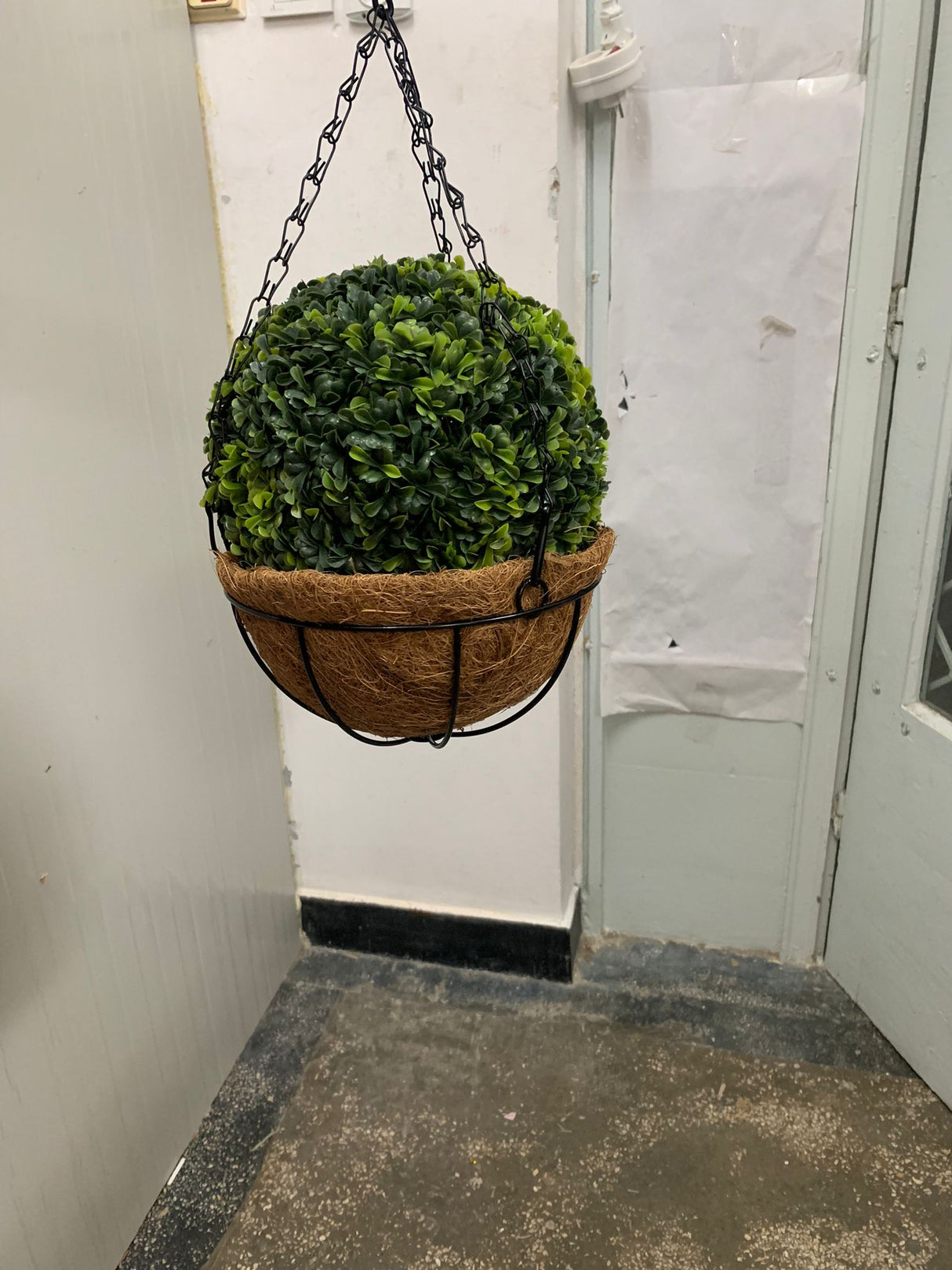 Aranjament Ghiveci Suspendat cu lant din Fibra Cocos 20 cm