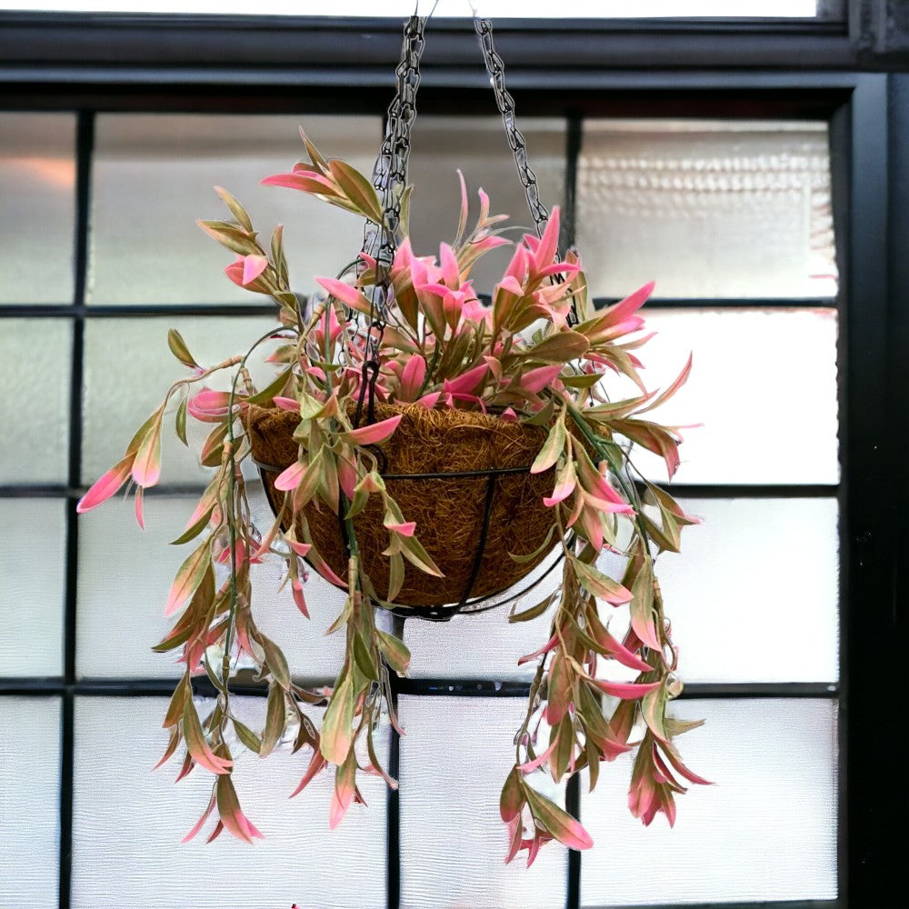 Aranjament Decor cu Ghiveci Suspendat de Cocos, 20 cm si Floare Curgatoare de Matase,85 cm