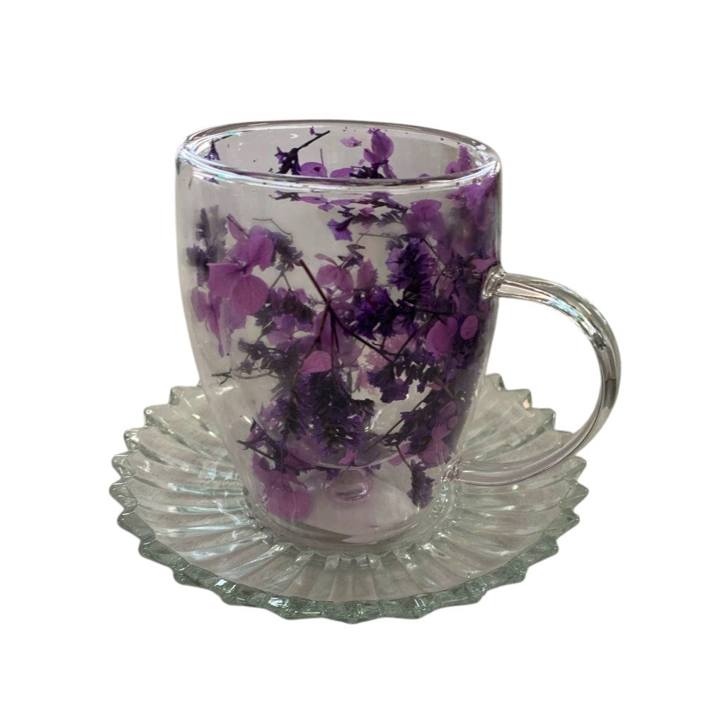 Set 6 cani Pereti Dubli din sticla termorezistenta + 6 Farfurii Sticla 16 cm