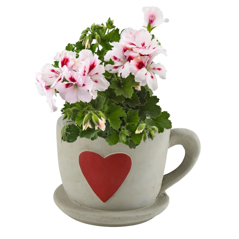 Ghiveci din Lut cu model inima pictata , 12x10 cm