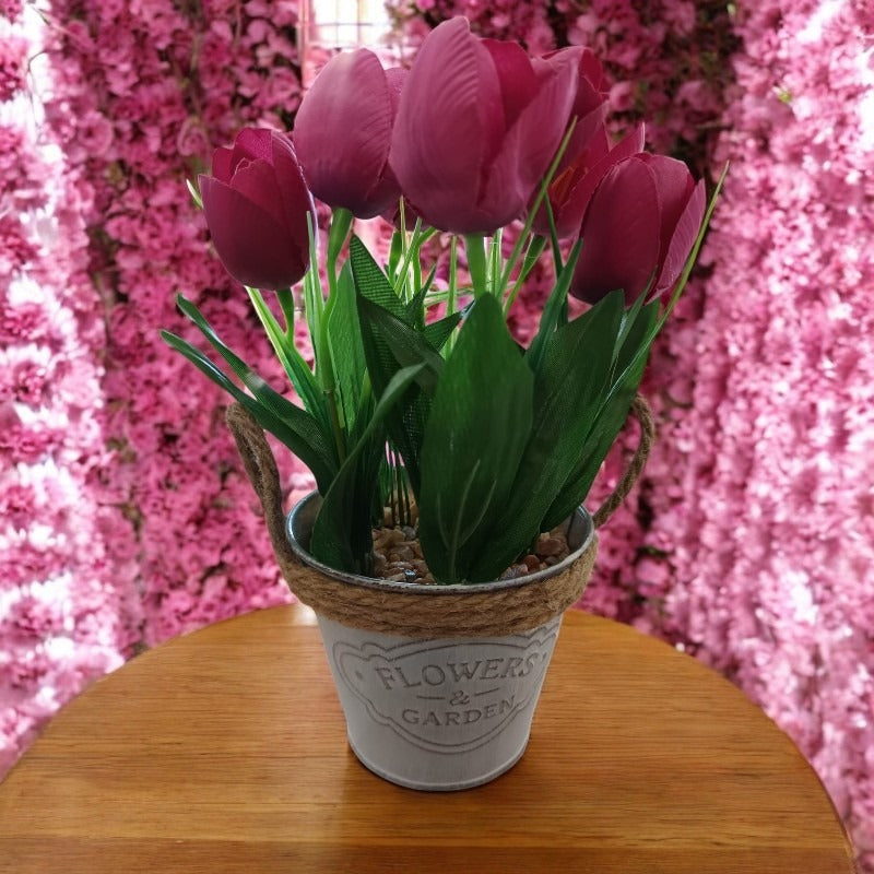 Lalele in ghiveci metalic, 25x10 cm