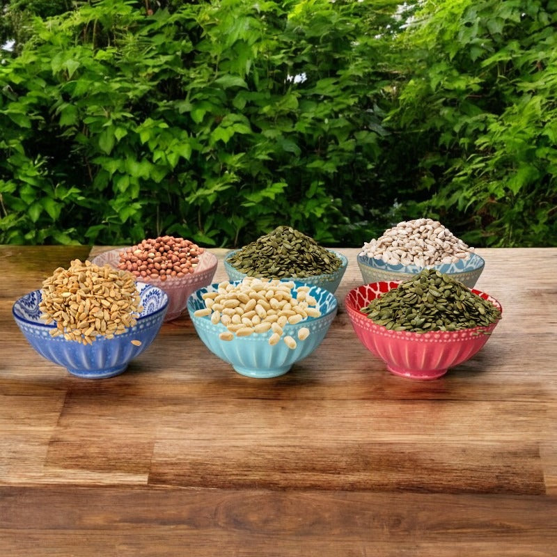 Set 6 miniboluri de servire gustari, 9.5cm