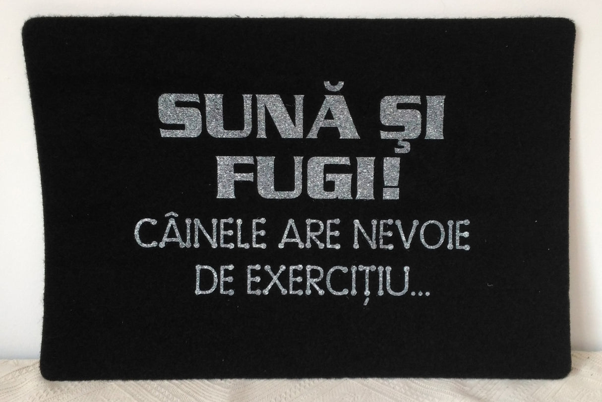 Covor de intrare, Mesaj haios, 60x40cm