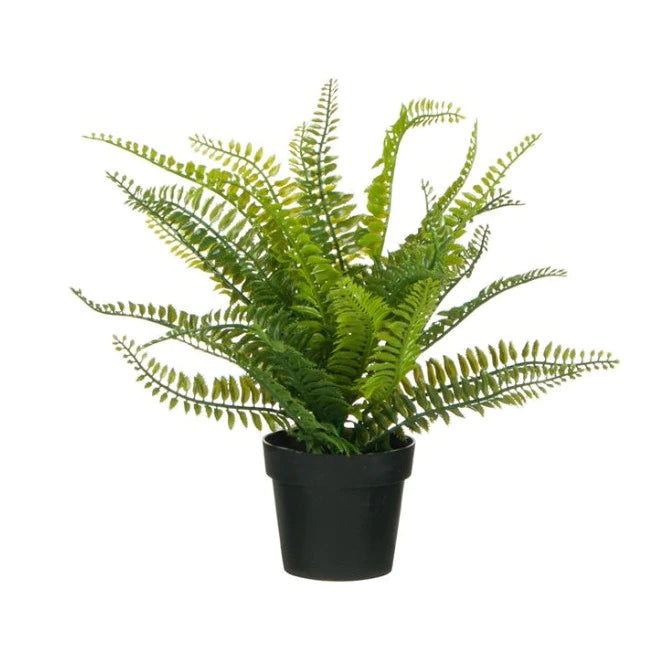 Feriga artificiala in ghiveci din Plastic, 40x9x9 cm