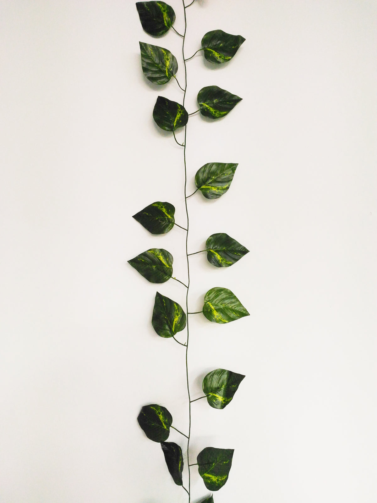 Ghirlanda Iedera artificiala verde, 180 cm