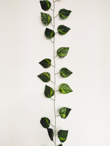 Ghirlanda Iedera artificiala verde, 180 cm