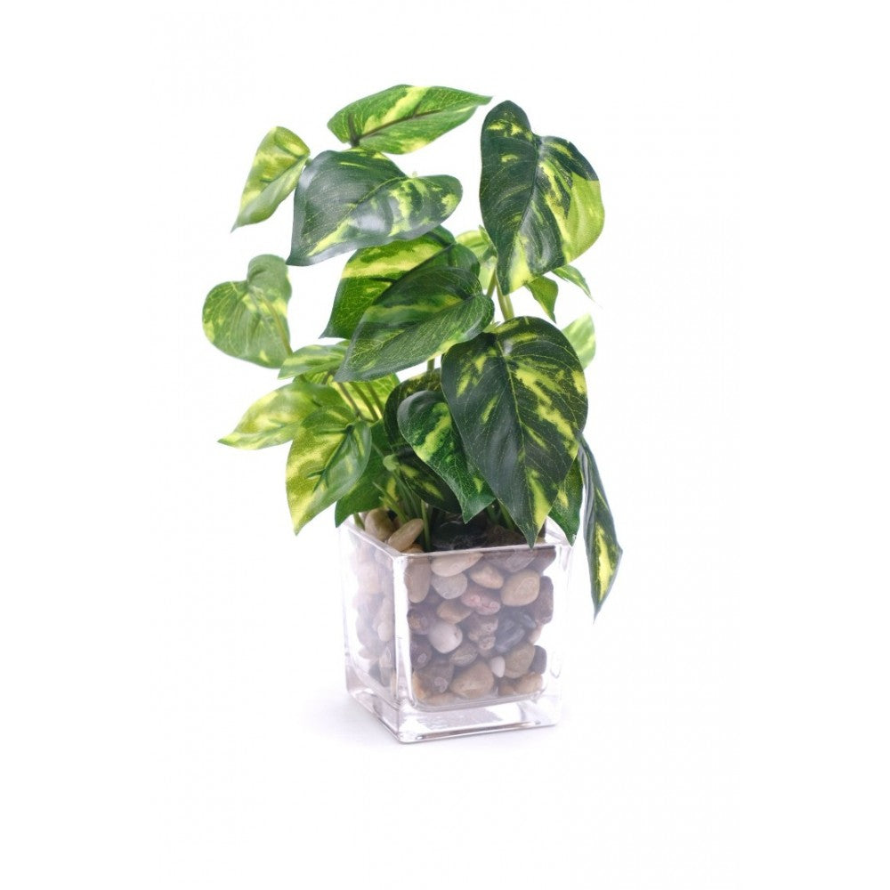 Planta artificiala in ghiveci de Sticla, 24x7 cm