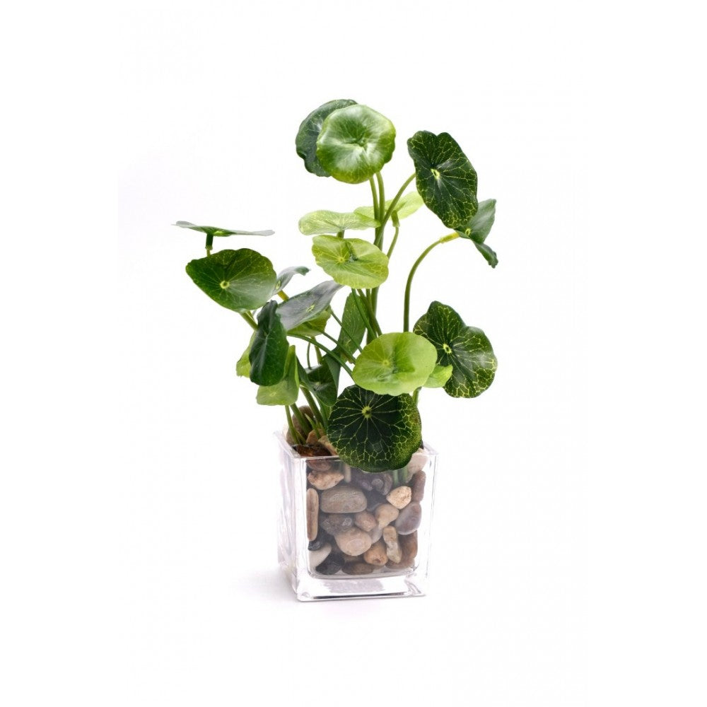 Planta artificiala in ghiveci de Sticla, 24x7 cm