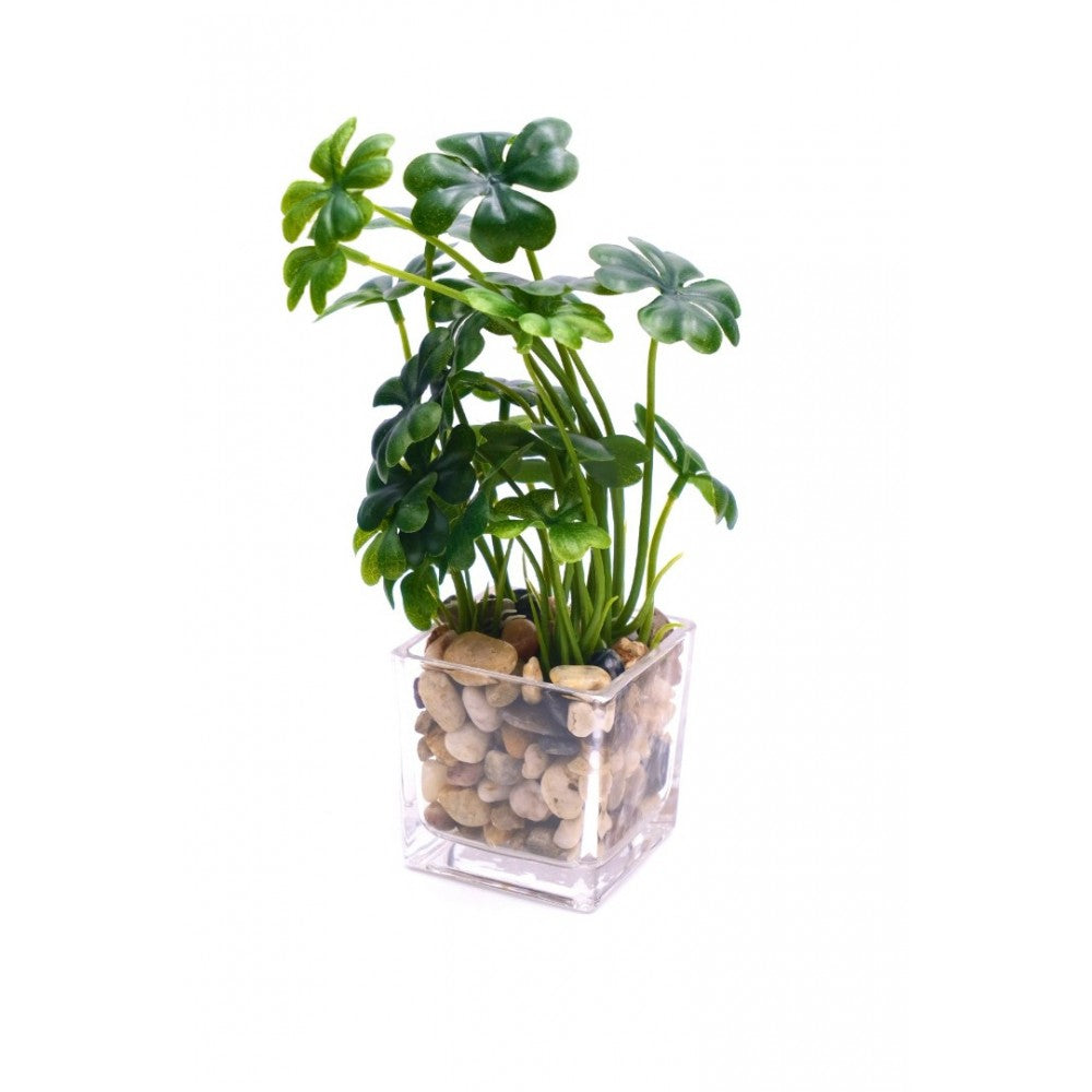 Planta artificiala in ghiveci de Sticla, 24x7 cm