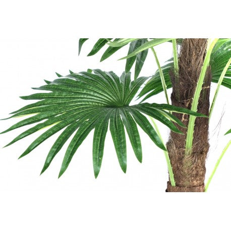 Pom decor Palmier artificial in ghiveci de Plastic, 110x16cm