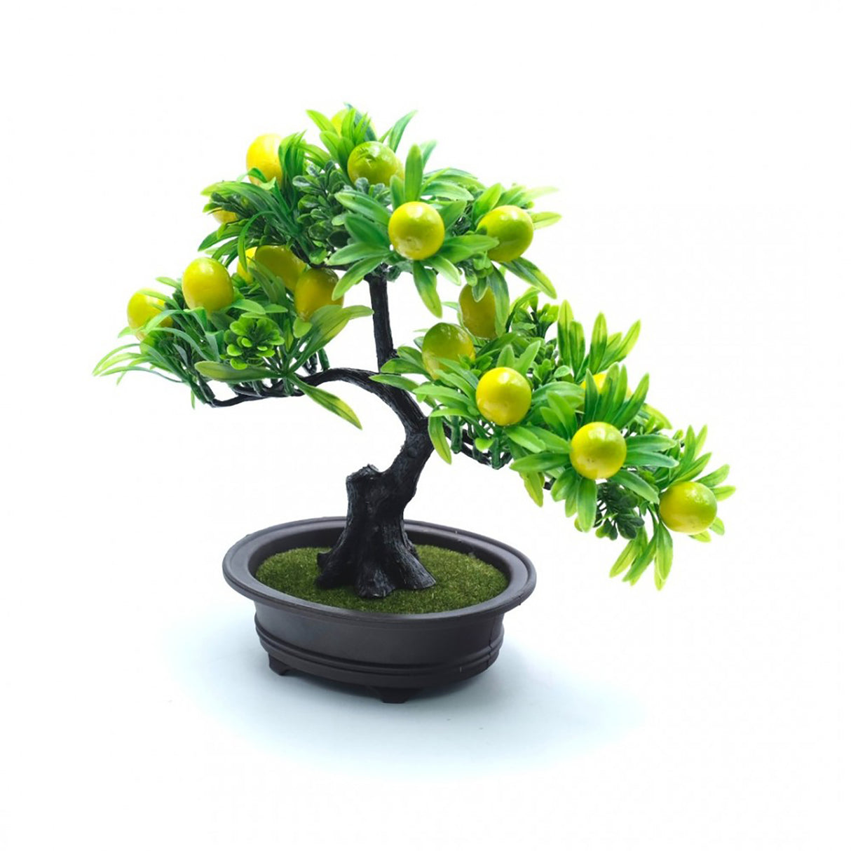 Pom decorativ in ghiveci, Lamai, 28x16x13 cm