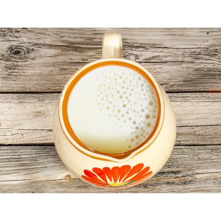 Ulcior Lapte din lut cu Capac, pictat Manual