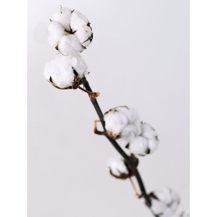 Floare de bumbac artificiala alb - 49 cm