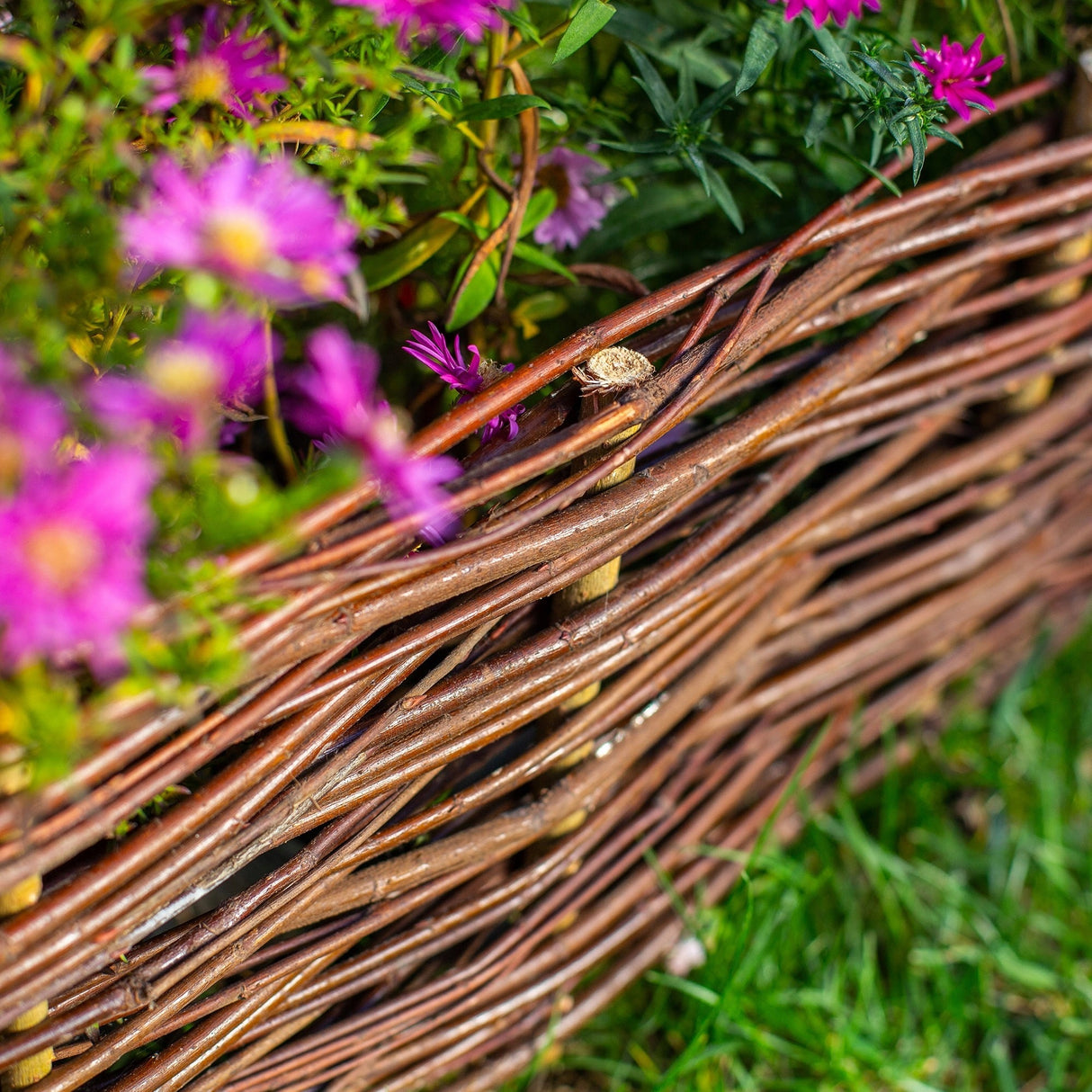 Gard din salcie-nuiele Impletit Decorativ , 110-120 cm