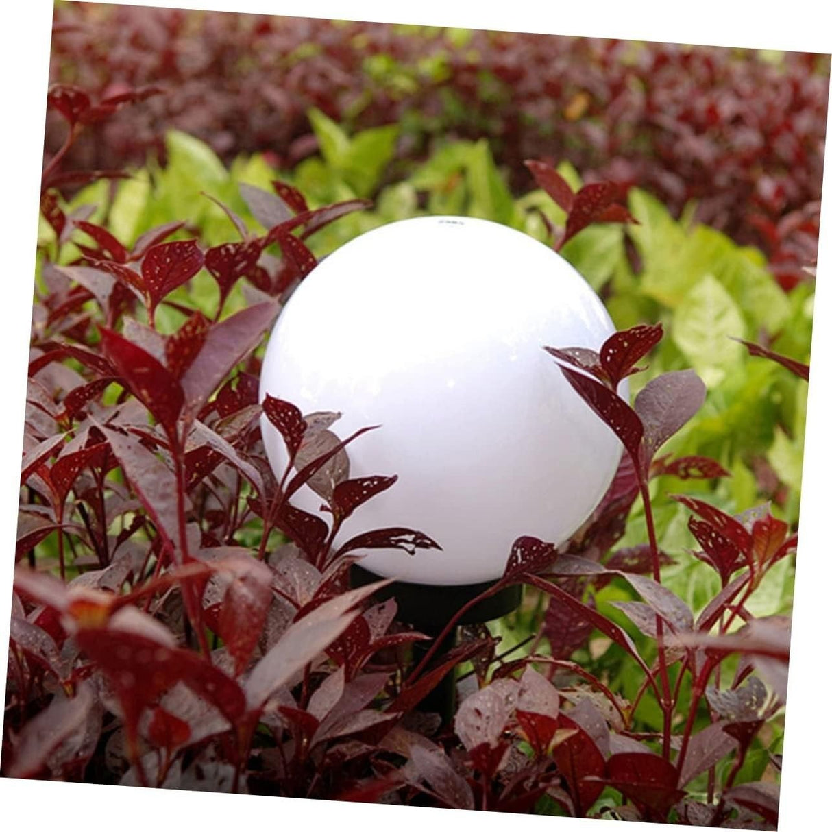 Lampa solara LED - sferică, alb rece - Ø10 cm