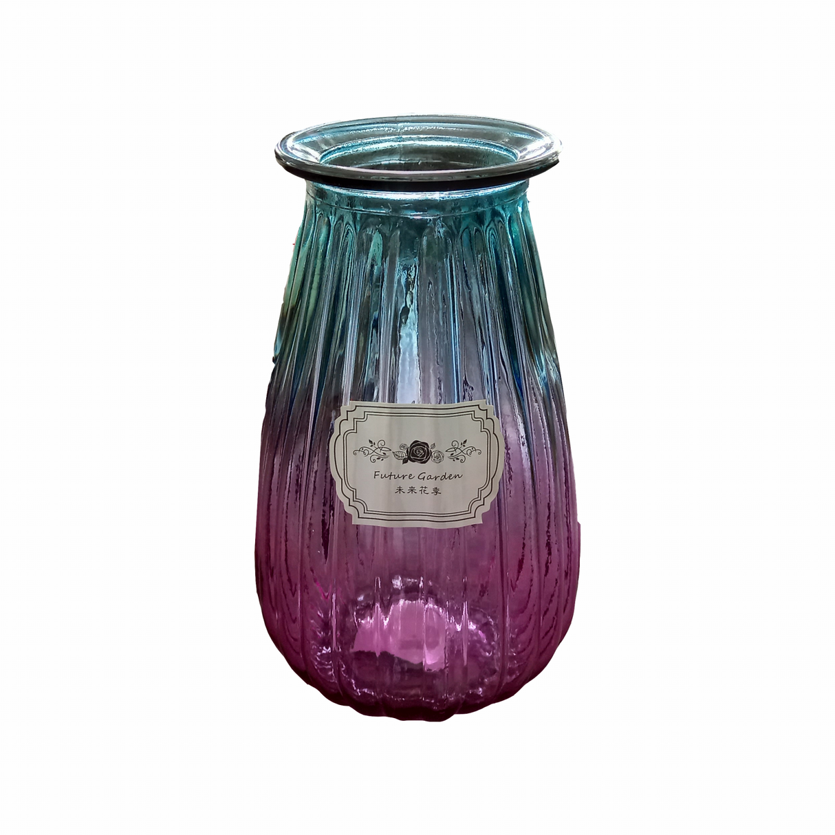 Vaza din Sticla, 22x8.5 cm