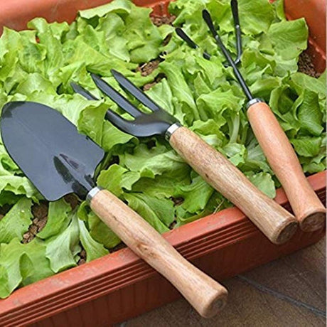 Set 3 Mini unelte pentru Gradinarit , Metal, 22x25 cm