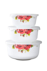 Set 3 Boluri/Caserole opal capac plastic, Etansare vid , Fructe