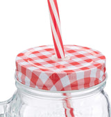 Pahar cu maner si pai pentru limonada tip borcan,sticla,450 ml