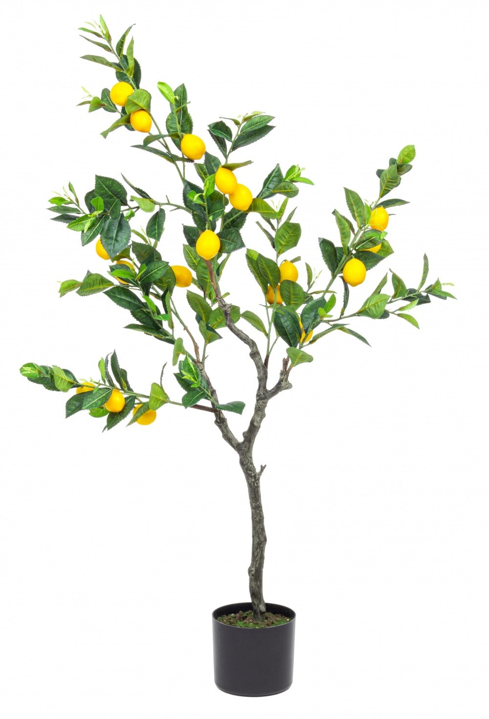 Pom decor Artificial, Lamai, 130cm
