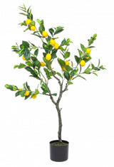 Pom decor Artificial, Lamai, 130cm