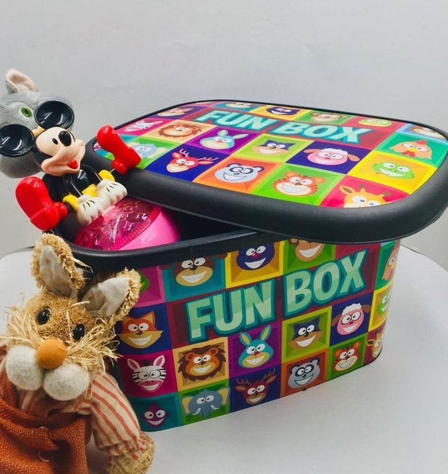 Cutie depozitare pentru copii , 25 litri, FUN BOX , ,45x32x27 cm