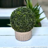 Set Minge din iarba Buxus + Ghiveci decor