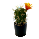 Cactus Artificial Decorativ