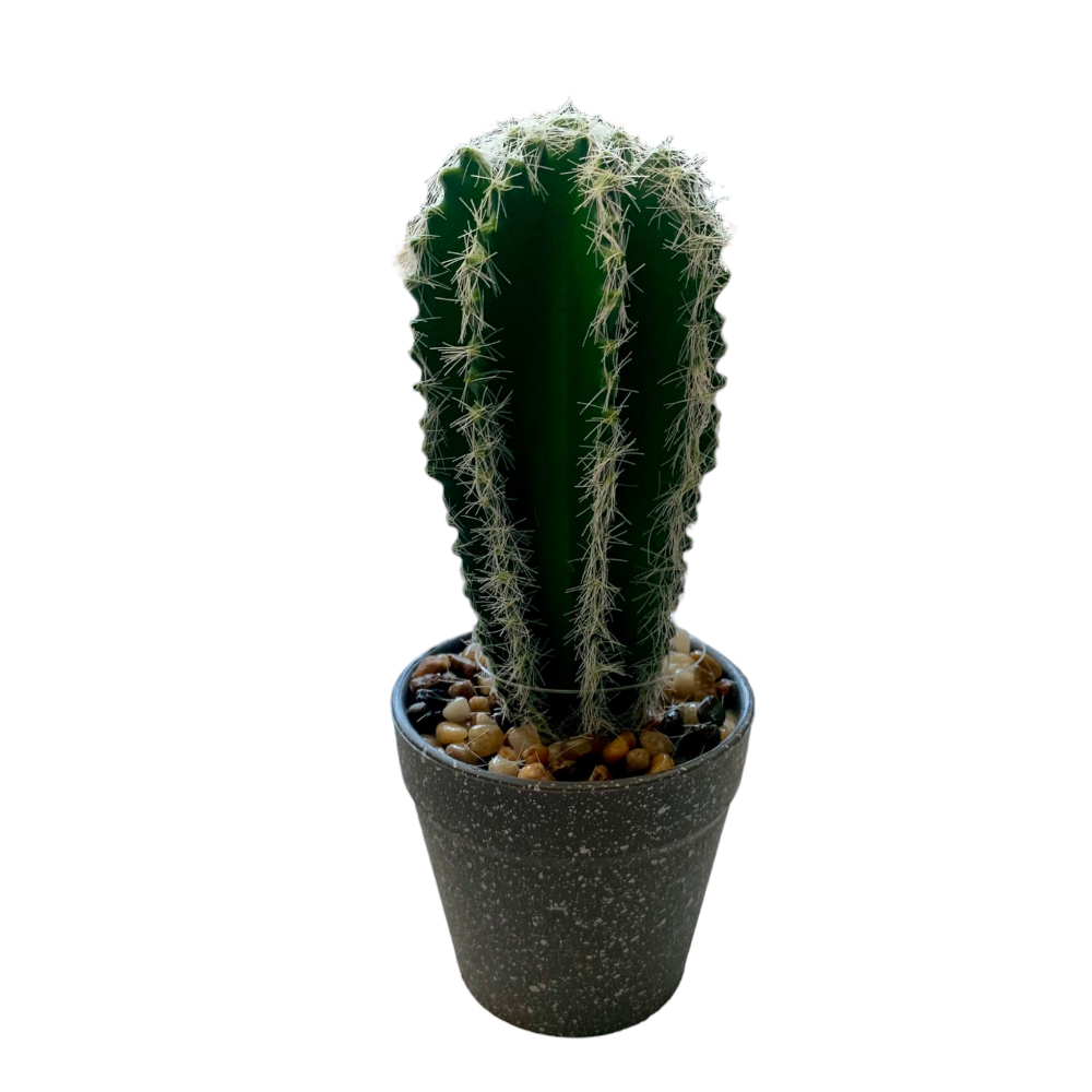 Cactus Artificial Decorativ