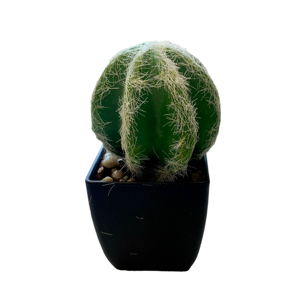 Cactus Artificial Decorativ