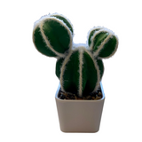 Cactus Artificial Decorativ